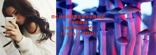 СК Алексеевка