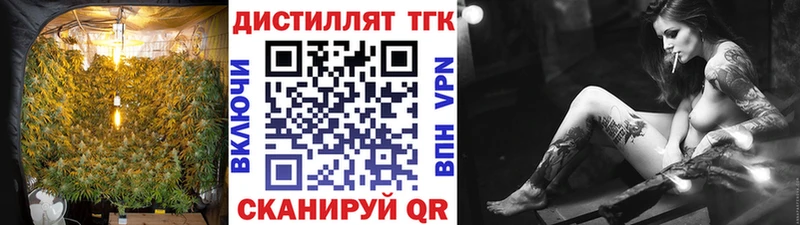 Дистиллят ТГК концентрат  купить наркоту  ссылка на мегу tor  Черемхово 