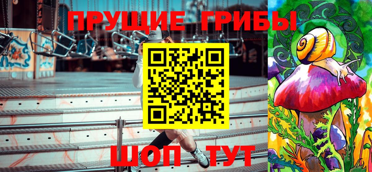 Псилоцибиновые грибы Psilocybine cubensis Черемхово